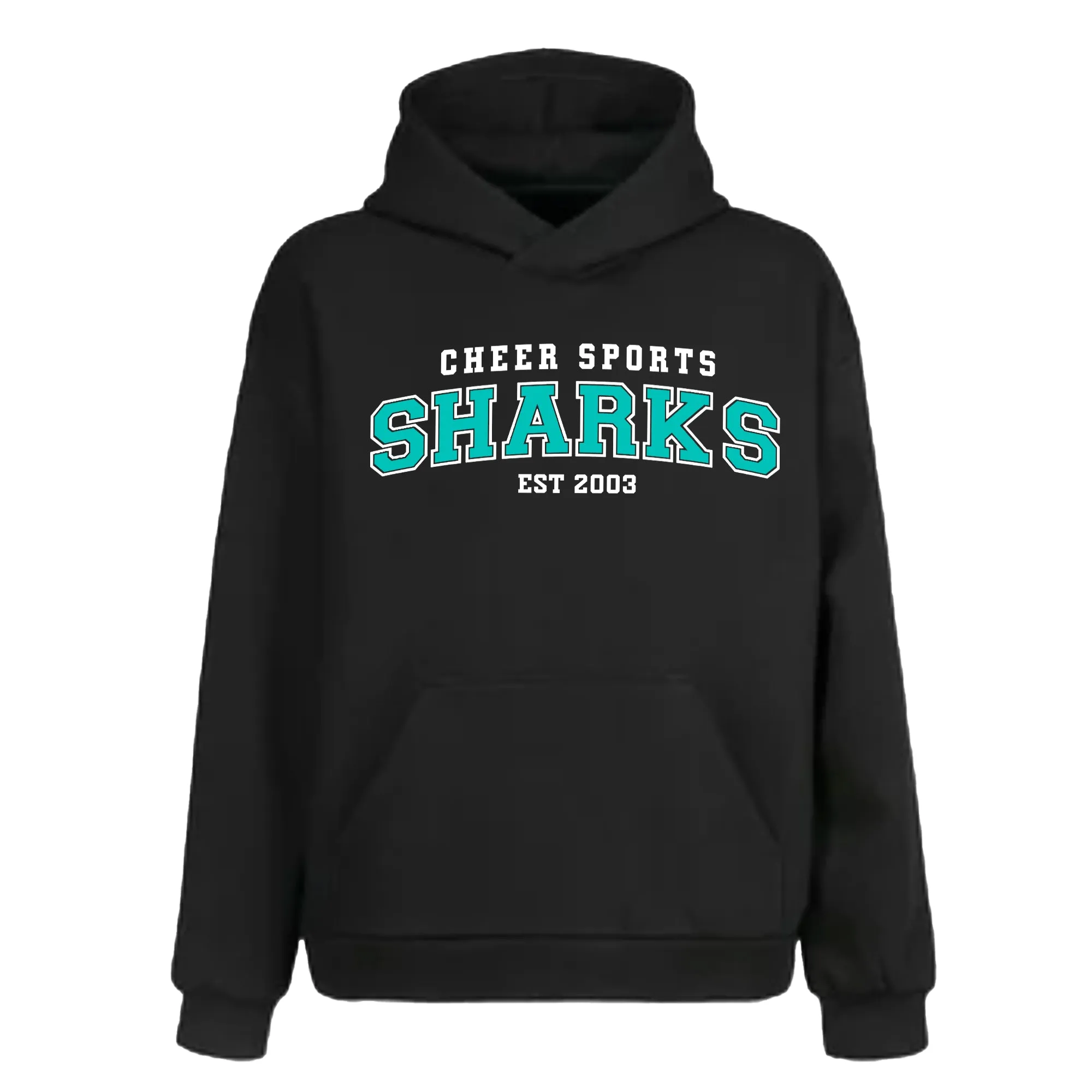 CSS - Varsity - Hoodie