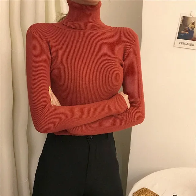 Knitted Ribbed Turtleneck Jumper